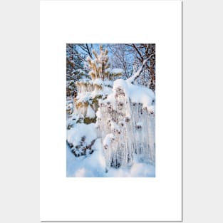 Beautiful icicles ice formation on small tree Posters and Art